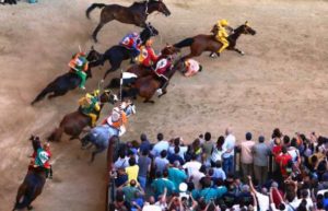 Palio-di-Siena