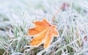 tornano-le-gelate-fino-in-pianura-3bmeteo-75542