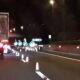 Autostrada A1: chiusa stanotte uscita di Scandicci verso allacciamento e Firenze